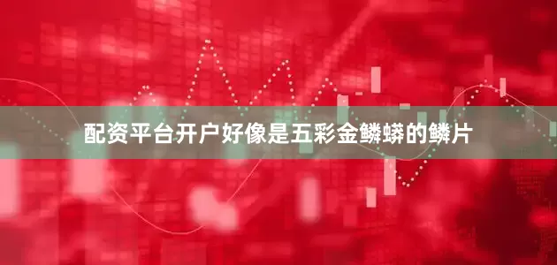 配资平台开户好像是五彩金鳞蟒的鳞片